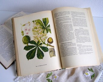 Vintage Illustrated Botanical Book medicinal plants Vintage book illustrations drug plants medicinal herbs Entomology book
