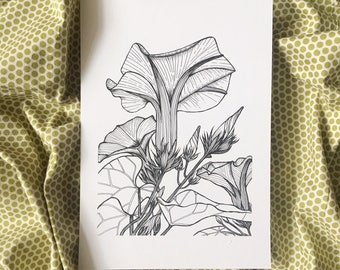 Botanical Hand-Drawn Morning Glory Print - September Birth Flower