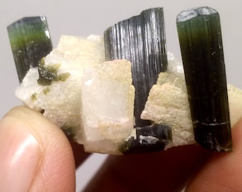 63.2 CT Green Cap Terminated Twin Tourmaline Crystal Specimen from Pakistan, Bunch of Tourmaline Crystals