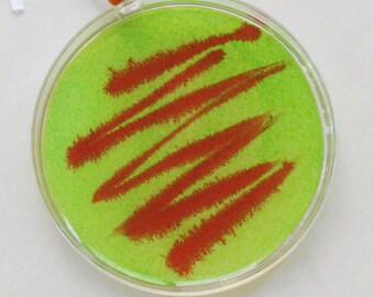 Petri Dish Ornament A3: Green with Orange Streaked Bacteria