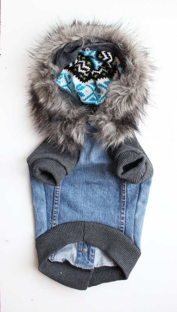Dog Jean Jacket with Removable Fur Collar and Sweatshirt