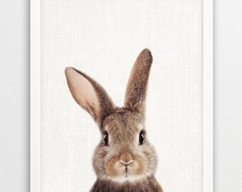 Bunny Print, Rabbit Print, Woodlands Animals Art Photo, Printable Nursery Animal Wall Art, Baby Animal Color Photo Print, Kids Room Decor