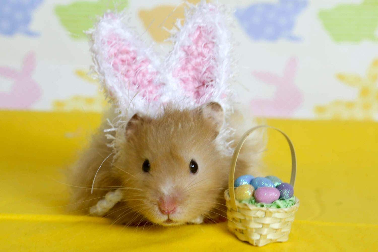 easter hamster in costume plush