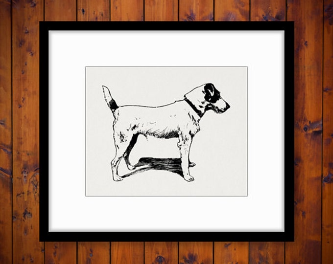 Printable Fox Terrier Digital Image Antique Dog Graphic Animal Pet Artwork Clipart Download Dog Antique Clip Art Jpg Png Eps HQ No.3735