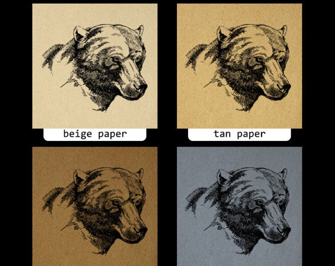 Digital Image Brown Bear Graphic Bear Printable Download Illustration Vintage Clip Art Jpg Png Eps HQ 300dpi No.4136