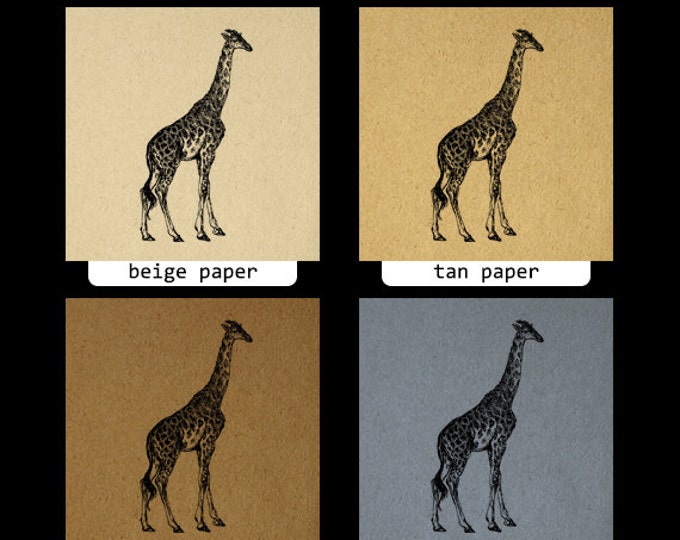 Giraffe Printable Graphic Image Animal Artwork Digital Download Illustration Vintage Clip Art Jpg Png Eps HQ 300dpi No.4144