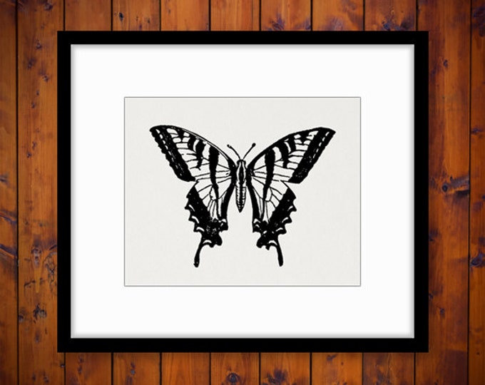 Vintage Butterfly Digital Image Graphic Insect Download Printable Antique Clip Art for Transfers Making Prints etc HQ 300dpi No.4107