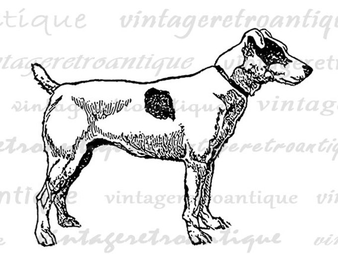 Fox Terrier Dog Image Graphic Printable Illustration Digital Download Antique Clip Art Jpg Png Eps HQ 300dpi No.3080