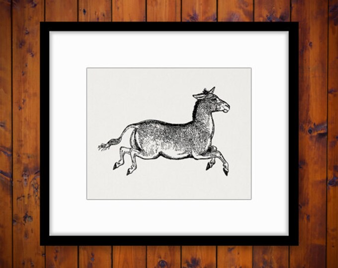 Donkey Image Digital Printable Mule Graphic Download Illustration Vintage Clip Art Jpg Png Eps HQ 300dpi No.4152