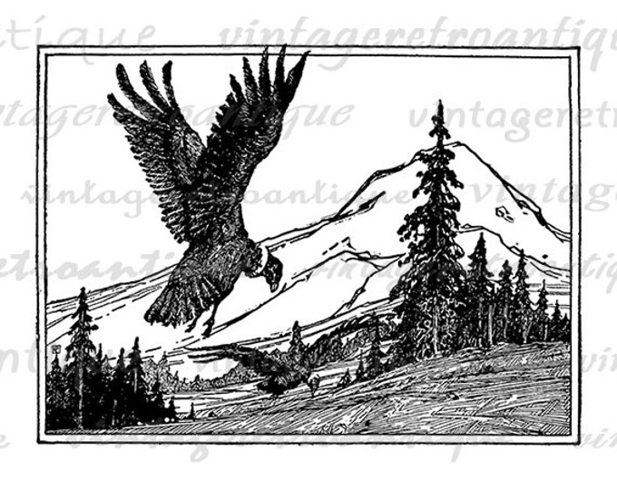 Soaring Bird Graphic Image Digital Download Printable Illustration Vintage Clip Art Jpg Png Eps HQ 300dpi No.2626