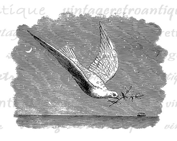 Dove Digital Graphic Image Bird Illustration Download Printable Artwork Antique Clip Art Jpg Png Eps HQ 300dpi No.2239