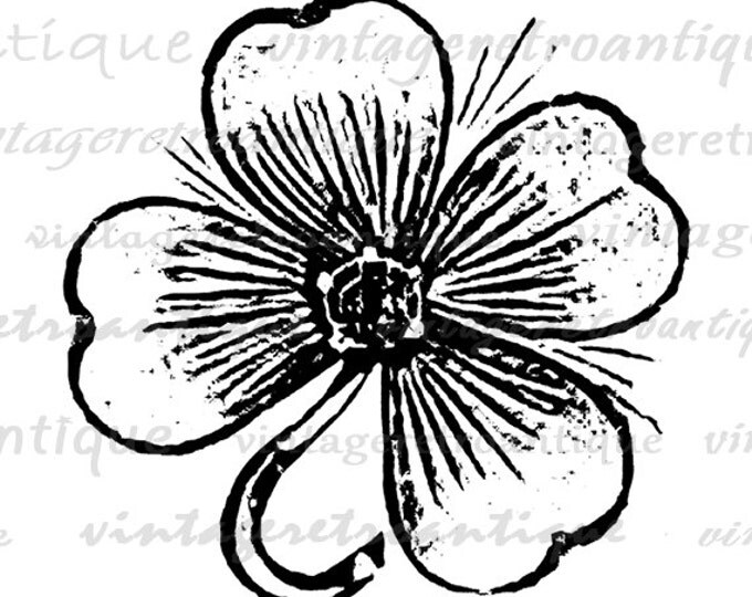 Digital Printable Four Leaf Clover Graphic Lucky Download Illustration Image Antique Clip Art Jpg Png Eps HQ 300dpi No.1272