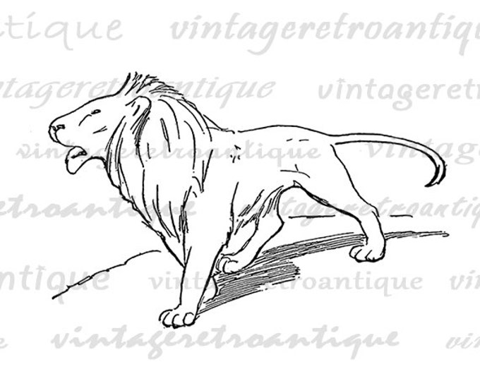 Printable Image Lion Digital Illustration Download Graphic Antique Clip Art Jpg Png Eps HQ 300dpi No.2004