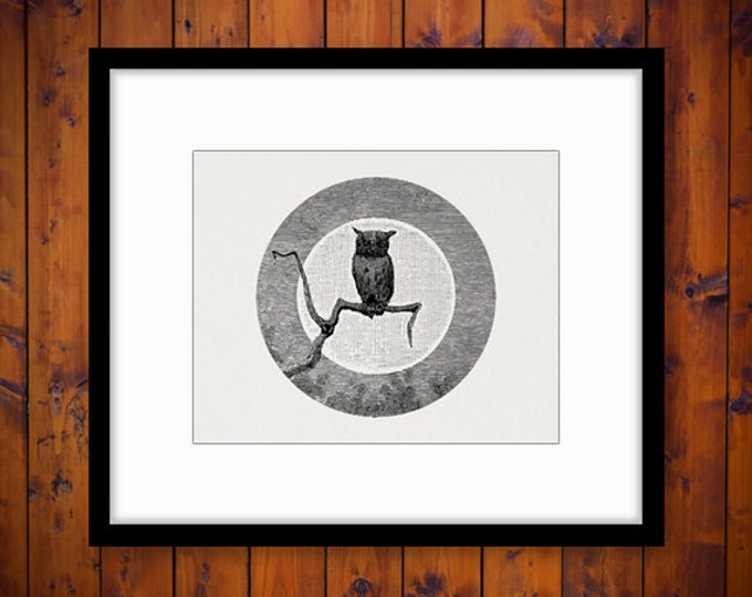 Printable Owl Digital Image Moon Antique Download Bird Graphic Jpg Png Eps HQ 300dpi No.100