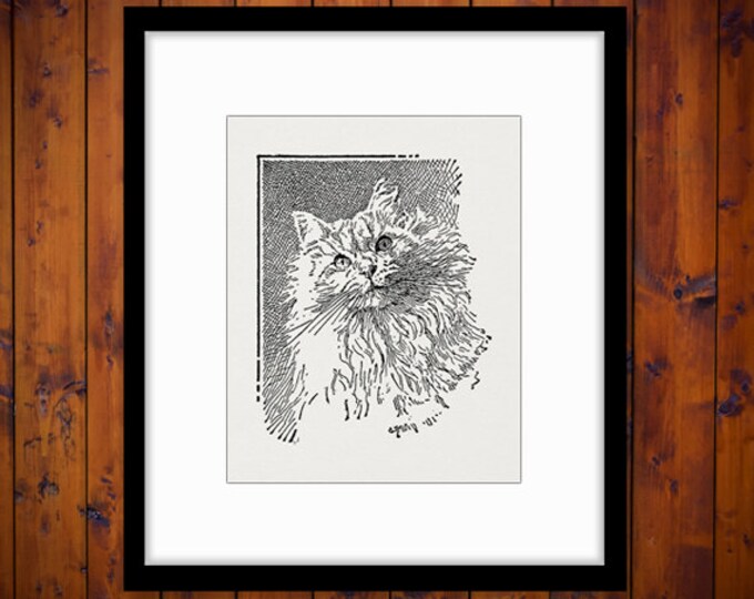 Digital Printable Tabby Cat Download Illustration Graphic Image Vintage Clip Art Jpg Png Eps HQ 300dpi No.3056