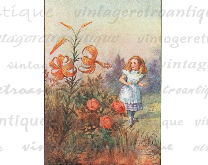 Digital Printable Alice Talking to the Tiger Lily Alice in Wonderland Image Graphic Download HQ 300dpi No.2808