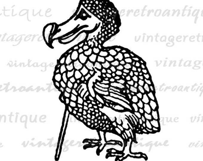 Printable Digital Dodo Bird Alice in Wonderland Graphic Image Download Antique Clip Art Jpg Png Eps HQ 300dpi No.2531