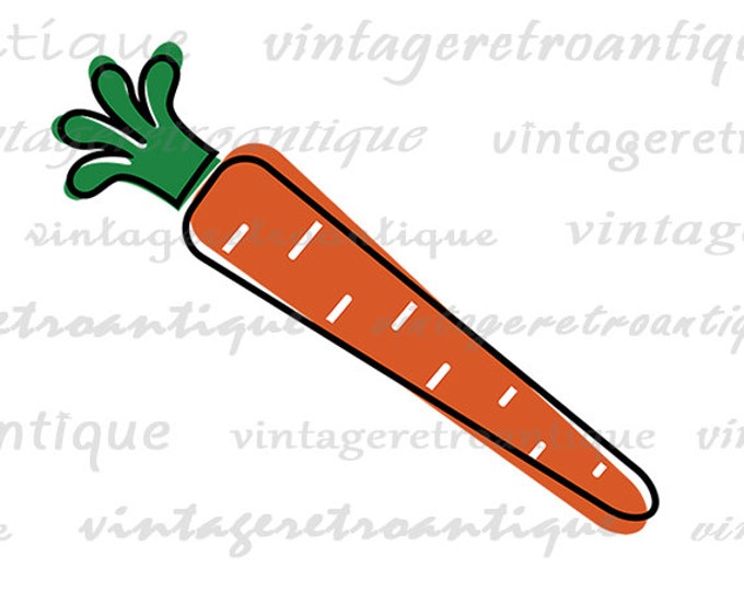 Digital Retro Carrot Illustration Graphic Image Printable Download Vintage Clip Art HQ 300dpi No.3995