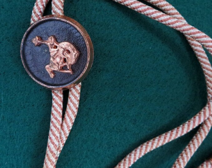 ON SALE! Cowboy Bolo Tie, Vintage Rodeo Bolo, Cowboy Western Tie, Striped Bolo