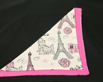 Eiffel Tower & Café W/ Roses