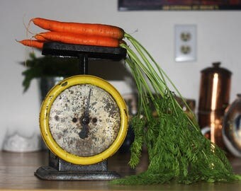 Columbia Family Scale Black and Yellow Kitchen Scale