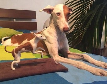 Faux taxidermy custom dog replica Podenco - Whippet needle felted dog miniature dog urn sculpture poseable wool replica animal mounts dog
