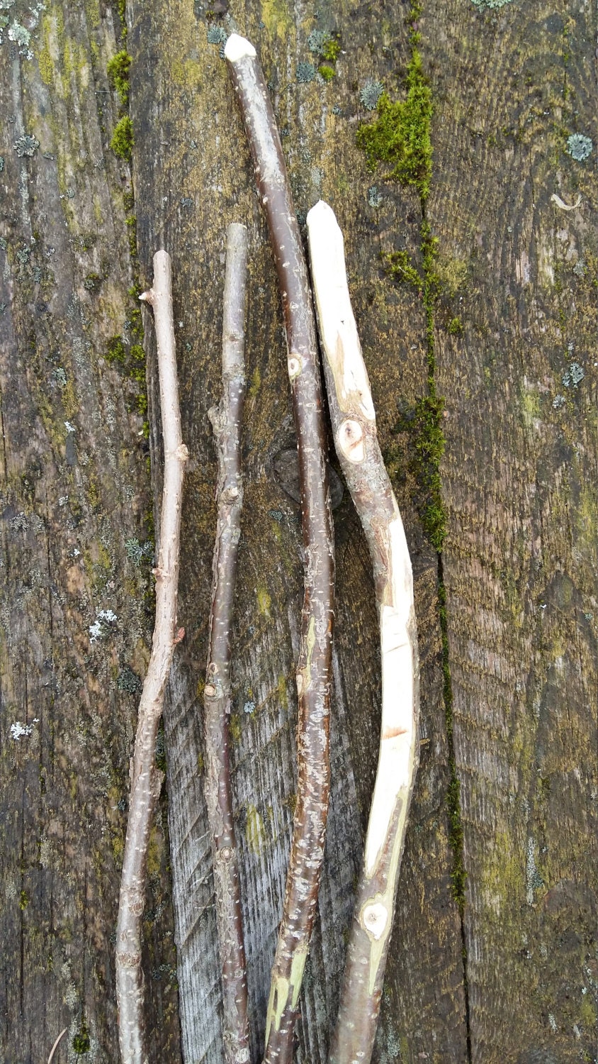 craft sticks natural wood tree branches DIY wall decor