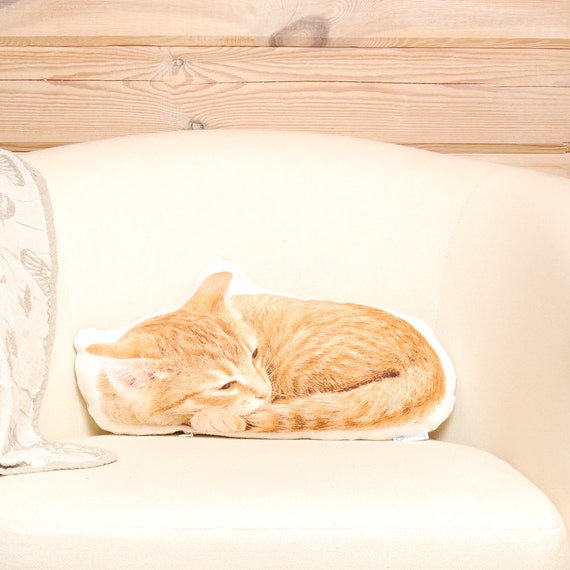 ginger cat pillow