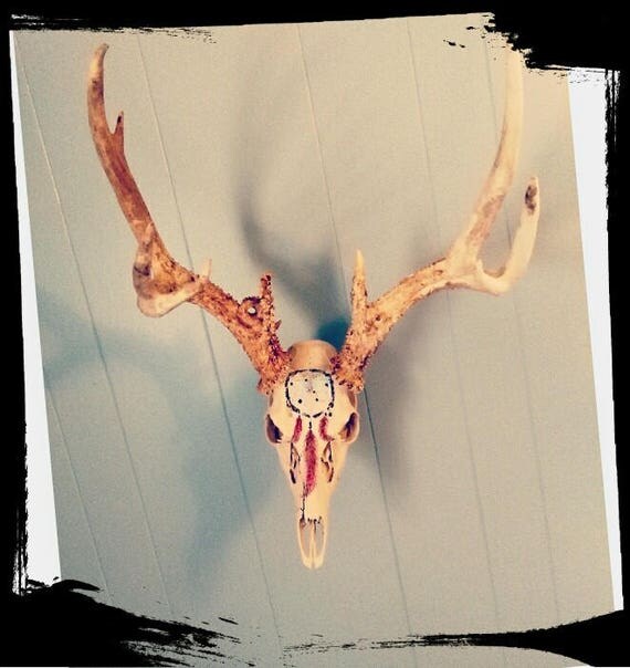 Real Deer Skull Painted Deer Skull Dreamcatcher Skull