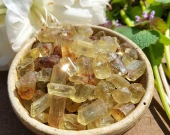 Sunny Golden Apatite Jewelry Sized Crystals - 1 set - Radiant Life Force, Prosperity, Manifestation, Fruition, Stimulant.
