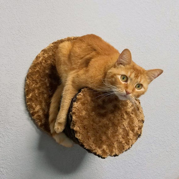 Wall Condo Perch wall mounted cat furniture