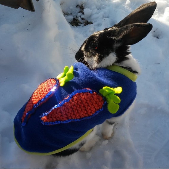 Pet clothes Rabbit clothes Bunny clothing Clothes for