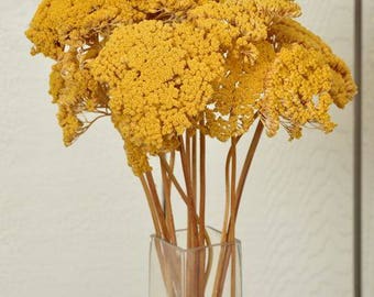 Dried Natural Yarrow Bunches | Yellow Yarrow | Dried Flowers | Wedding Decor | Fall Flowers