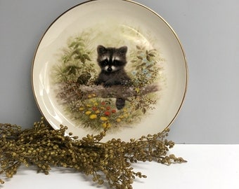 Baby raccoon decorative plate - vintage Pickard Bradex collectible by Joseph Giordano - 1980s vintage