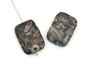 2 crinoid jasper.fossil stone beads,18mm x 25mm / #PP147-2