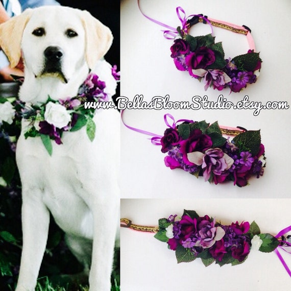 Dog wedding Leash Dog Wedding Leash and Collar Dog Collar and