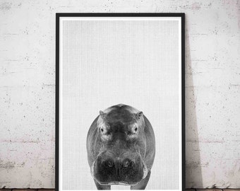 Hippo Poster, Hippopotamus Art, Printable African Safari Nursery Animal Wall Art Print, Hippopotamus Gift For Her, Animal Nursery Decor