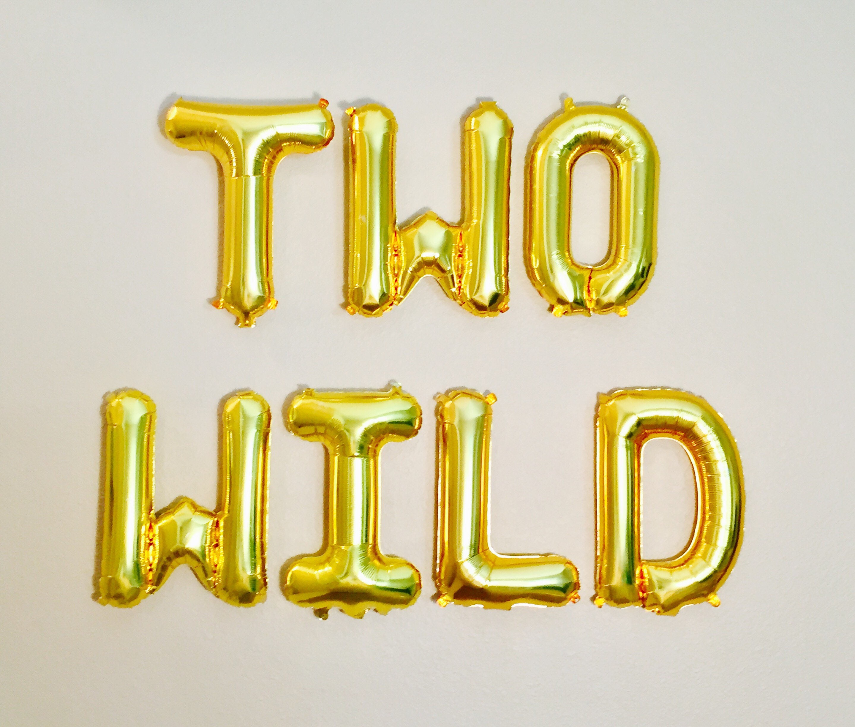 TWO WILD Balloon Letters Boys 2nd Birthday Two Wild