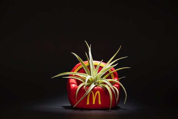 MCDONALDS FRIES PLANTER