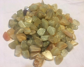 3 Tumbled Moonstone Extra Small Size
