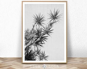 Wall Art, Black and White, Large Photography Poster Print, Modern Beach Decor, Printable Digital Download, Lila and Lola, Minimalist Minimal