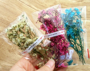 3 bag cute mini dried flower Crystal flower, can fill in the glass vial , home decorations preserved fresh flower real dried flowers
