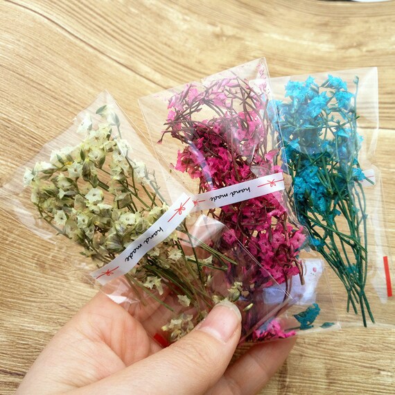 3 bag cute mini dried flower Crystal flower can fill in the