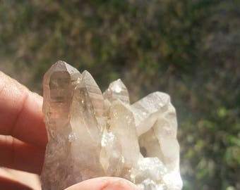 Lemurian Smokey Quartz Cluster (Hand mined in California!)