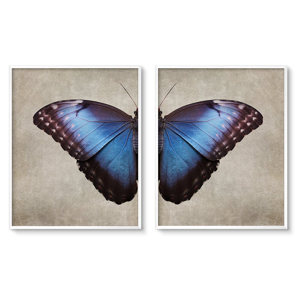 Diptych 2 Piece Wall Art Butterfly Wings Butterfly Wall