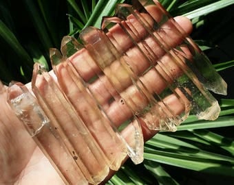Smoky Citrine Quartz Crystal Point (Natural)