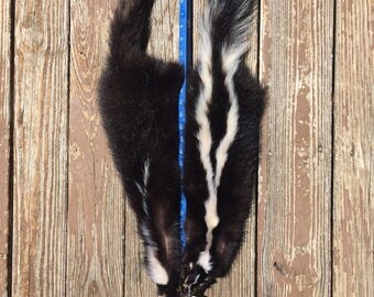2 New WHITE STRIPED Tanned SKUNK Skin ,Fur ,Hide Log Cabin Taxidermy #1900