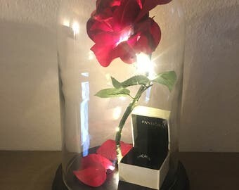 Beauty and the Beast Rose, Enchanted Rose, Rose in Glass Dome, Light Up Rose, LED Lights - 11"
