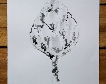 Original drawing "Homage to Blossfeldt VIII" / ink and graphite
