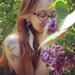 Rae Maltz